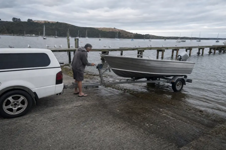 Ute reversing a boat on its trailer down a concrete ramp at a New Zealand harbour in the early morning