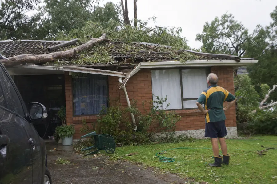 Broken tree branch resting on the corrugated iron roof of a weatherboard house after an overnight storm