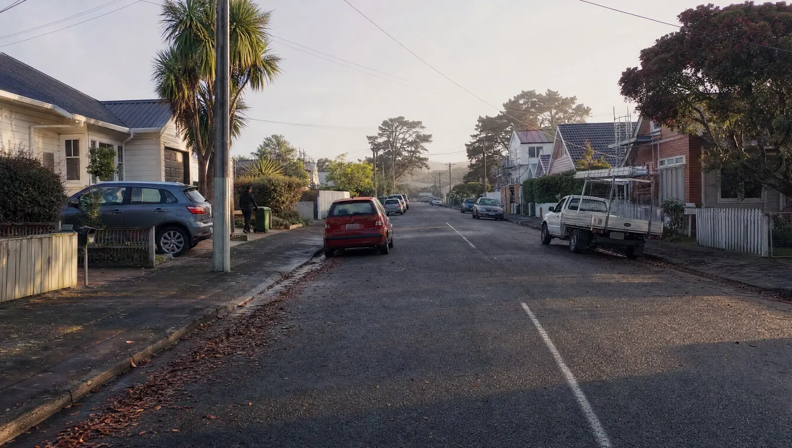 Quiet suburban New Zealand street on an autumn morning with cars parked along driveways and the kerb