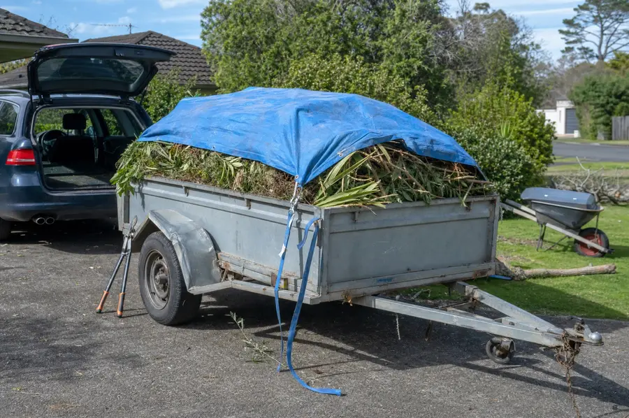 Box trailer loaded with garden prunings parked on a New Zealand suburban driveway
